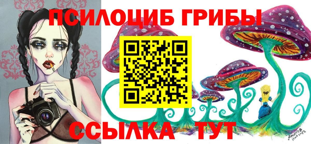 Псилоцибиновые грибы Psilocybe Киржач