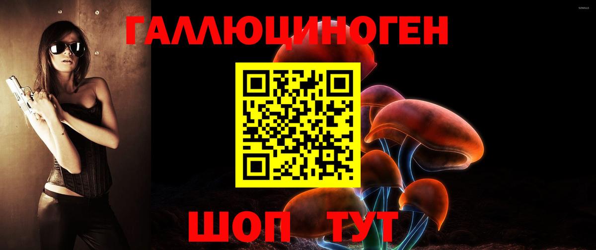 Киржач  Псилоцибиновые грибы Psilocybe  Вход с VPN  Галлюциногенные грибы GOLDEN TEACHER 